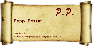 Papp Petur névjegykártya